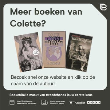De eerste keer dat ik mijn hoed verloor / Privé-domein / 291, Verzenden, Zo goed als nieuw, Colette