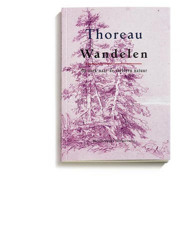 Wandelen - Henry David Thoreau 9789065540997, Boeken, Verzenden, Zo goed als nieuw, Henry David Thoreau