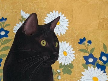 Flower garden cat - NO RESERVE - Ana Maia - Zweden (Zonder