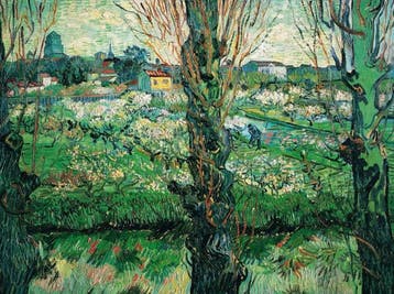 Kunstdruk Vincent Van Gogh - Blick auf Arles 80x60cm, Verzenden, Nieuw