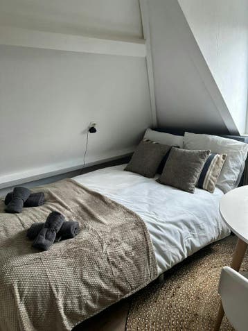 Appartement aan Snoekstraat, Rotterdam, Rotterdam