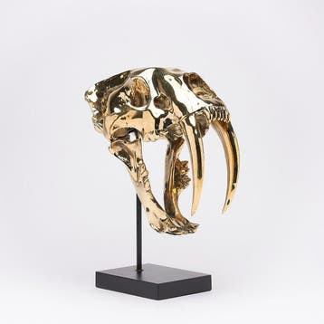 Sabeltandkat Schedel - (Smilodon) - 38 cm - 18 cm - 32 cm