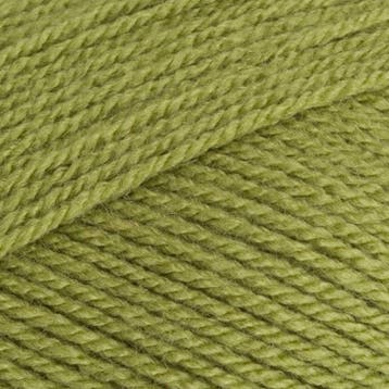 Stylecraft special DK 1065 meadow - Haakgaren / Breigaren, Ophalen of Verzenden, Nieuw, Breien of Haken, Wol of Garen