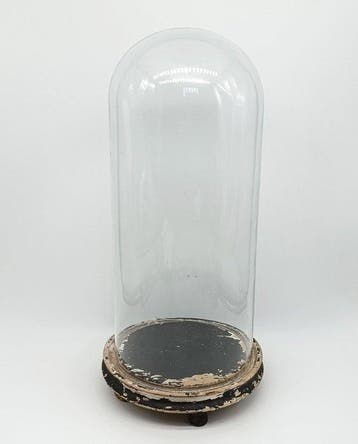 Stolp - Hout, Glas - 1850-1900 - Koepelvormige vitrine