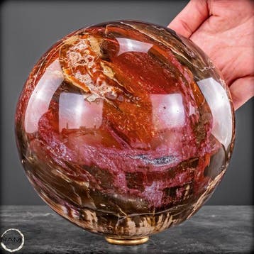 Natuurlijk versteend hout als bol – Intense houtnering in