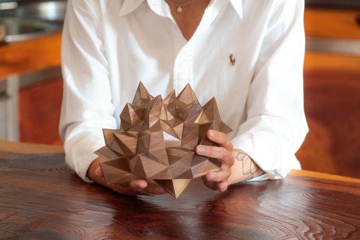 Alviseleon Studio - Lamp - PETG - Gobi -, Antiek en Kunst, Kunst | Designobjecten