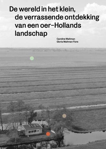 9789056159511 De wereld in het klein | Tweedehands, Boeken, Verzenden, Zo goed als nieuw, Caroline Waltman
