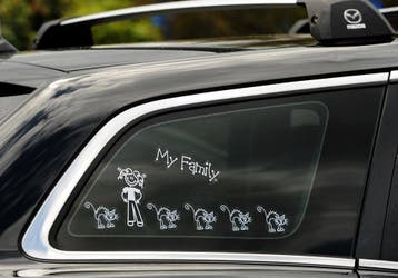 Poezenstickers voor op de auto - € 1,99 per stuk, Verzenden, Nieuw