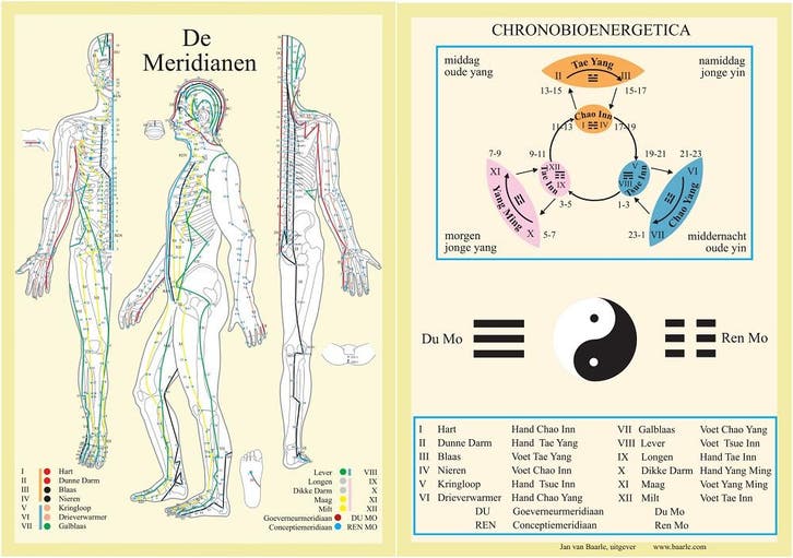 Anatomie poster meridianen (Nederlands, gelamineerd, A4), Sport en Fitness, Massageproducten