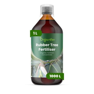 Rubberplant Vloeibare meststof - 1 liter, Verzenden, Mest