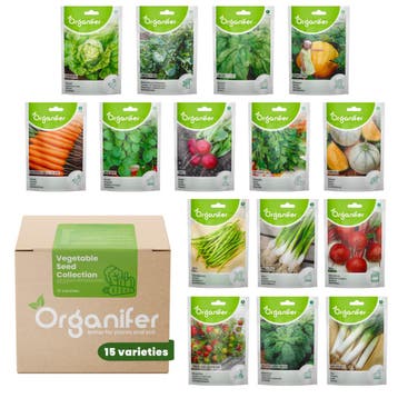 Groentezaadcollectie - 15 essentiële variëteiten, Verzenden, Gehele jaar, Volle zon