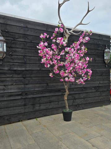 Decoratief ornament - Europa - XXL - Bloesemboom