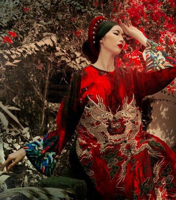 Viet Ha Tran - The Red Golden Imprint