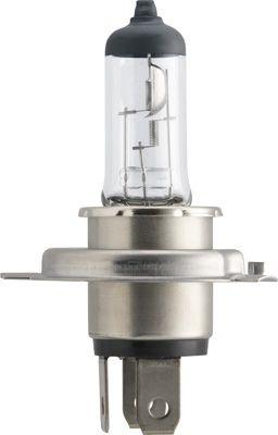 Philips LongLife EcoVision - H19 - 12 V, 60/55W - 12644LLC1, Verzenden, Nieuw