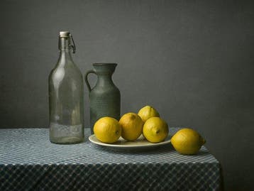 Tessa Posthuma de Boer - Lemons #2