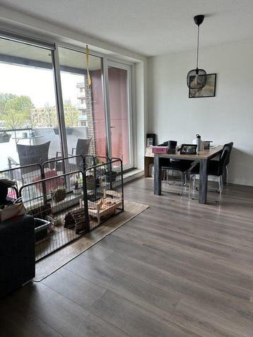 Appartement Louise Marie Loeberplantsoen in Amsterdam, Noord-Holland, Appartement, Amsterdam