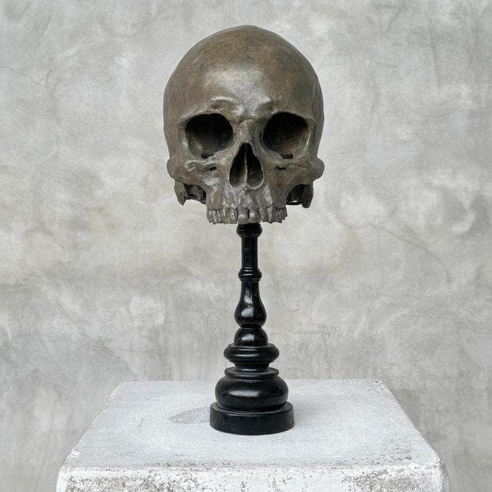 Beeld, NO RESERVE PRICE - Stunning human skull no jaw statue, Antiek en Kunst, Kunst | Designobjecten