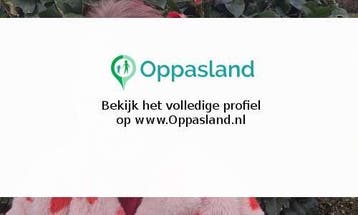 Eef zoekt een oppas in Grashoek voor 1 kind.