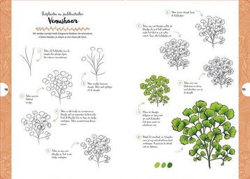 Wilde bloemen en planten / Tekenen in 10 stappen, Verzenden, Zo goed als nieuw, Justine Lecouffe