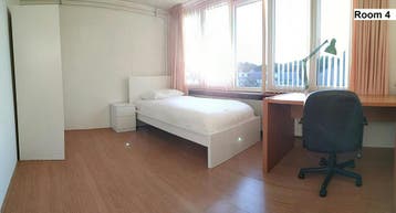 Eigen Kamer aan Paardebloem, Rotterdam, 50 m² of meer, Rotterdam