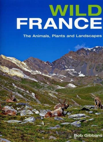 Wild France - Bob Gibbons 9781847733405, Boeken, Verzenden, Zo goed als nieuw, Bob Gibbons