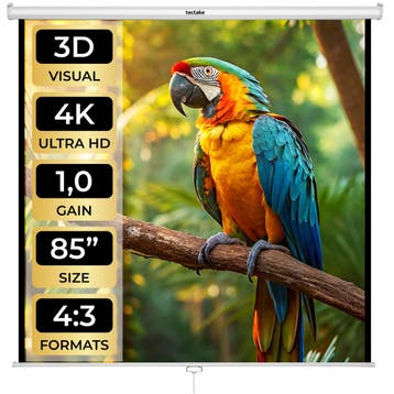 HDTV Beamer scherm - 152 x 152 cm, Verzenden, Nieuw
