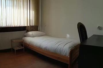 Kamer Paardebloem in Rotterdam, 20 tot 35 m², Rotterdam