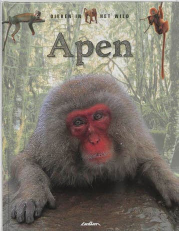 Apen / Dieren in het wild - T. Jackson 9789054262114, Verzenden, Zo goed als nieuw, T. Jackson