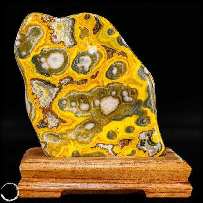 Bumblebee jaspis met uitgesproken oogstructuur in, Verzamelen, Mineralen en Fossielen