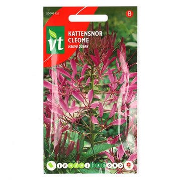 Bloemzaden Kattensnor | VT, Verzenden