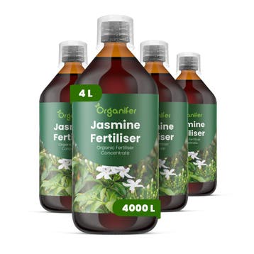 Jasmijn vloeibare meststof - Set 4x1 liter, Verzenden, Mest