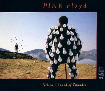 Pink Floyd – Delicate Sound Of Thunder (CD, 1988), Cd's en Dvd's, Cd's | Rock, Ophalen of Verzenden, Gebruikt
