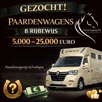 GEZOCHT: PAARDENWAGENS VOOR B-RIJBEWIJS TOT 25.000 EURO, Zo goed als nieuw, Overige materialen, Overige typen
