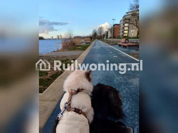 Graag met spoed (Almere-Stad, Flevoland), Almere