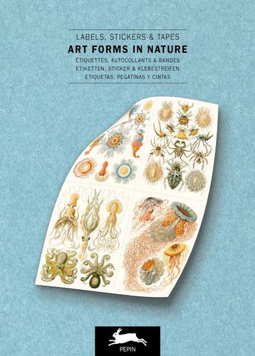 Art Forms In Nature | Pepin Roojen | Nieuw, Ophalen of Verzenden, Nieuw, Pepin Roojen