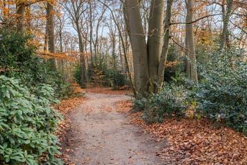 Te huur: Appartement Molenweg in Zeist, Huizen en Kamers, Utrecht, Zeist, Appartement