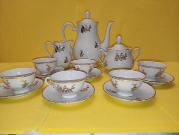 Richard Ginori - Tafelservies voor 6 (15) - Porselein