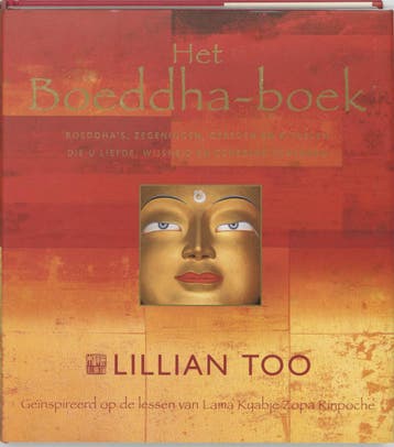 Het boeddhaboek - L. Too 9789045302942, Verzenden, Gelezen, L. Too