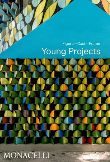 Young Projects | Nieuw, Ophalen of Verzenden, Nieuw, Bryan Young; Nader Tehrani; Paola Lenti; Hashim Sarkis