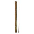 Plantenstok | Gardalux | 60 cm | 10 stuks (Ø 6/9 mm, Bamboe), Tuin en Terras, Planten | Tuinplanten, Verzenden