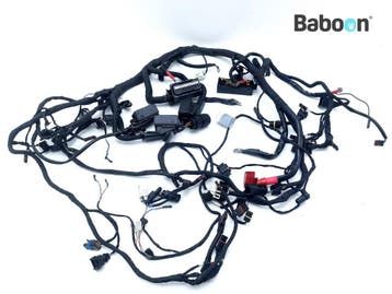 Kabelboom BMW R 1200 R 2006-2010 (R1200R 06) (7704166), Verzenden, Gebruikt
