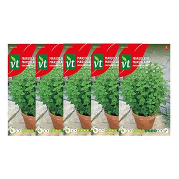 Marjolein zaad | VT | 5 stuks, Verzenden