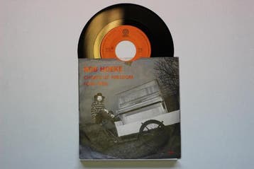 vinyl single 7 inch - Rob Hoeke - Chimes Of Freedom / Foo..., Cd's en Dvd's, Vinyl Singles, Verzenden, Zo goed als nieuw, 7 inch