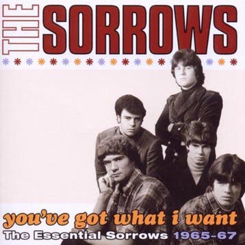 cd - The Sorrows - Youve Got What I Want: The Essential..., Verzenden, Zo goed als nieuw
