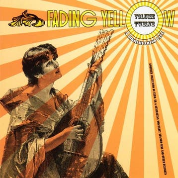 cd - Various - Fading Yellow Volume Twelve, Verzenden, Zo goed als nieuw