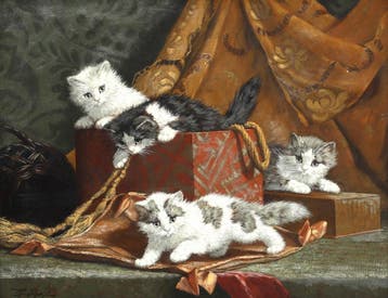 Cornelis Raaphorst (1875-1954), Vier spelende kittens