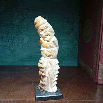 Columella Taxidermie volledige montage - Cassis Tuberosa -, Nieuw