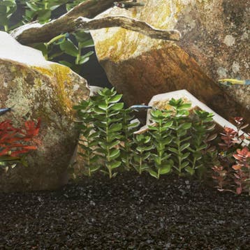vidaXL Aquariumzand 25 kg 0,2-2 mm zwart, Dieren en Toebehoren, Verzenden, Nieuw