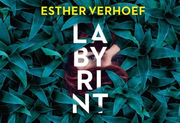 Labyrint / Dwarsligger / 650 - Esther Verhoef 9789049807801, Verzenden, Gelezen, Esther Verhoef