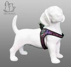 Treponti.nl: De enige officiële complete Treponti webshop., Eén hond, Nederland, Particulier